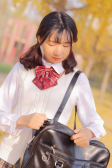 脱色摇床93S